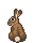 brown bunny