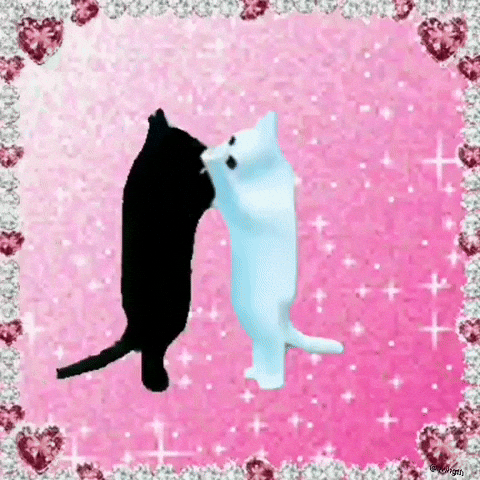 black and white cat dancing