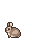 small bunny
